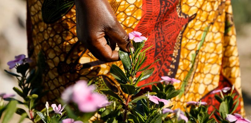 Medicinal Garden Plants